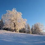 Вилла Tarnasowka W Szczyrku