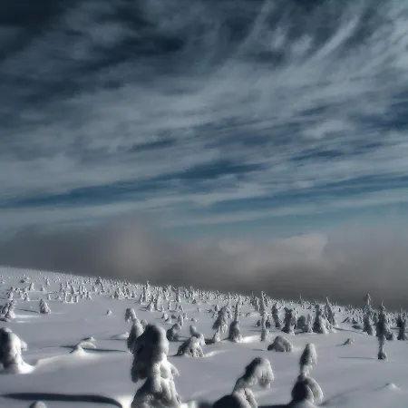 Tarnasówka W Szczyrku