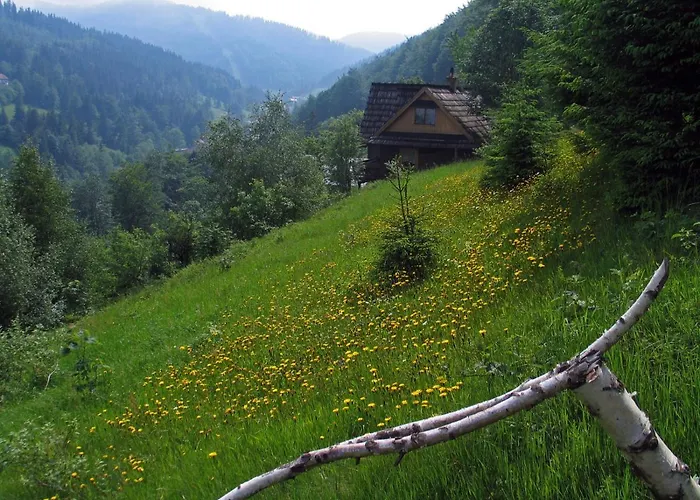 Tarnasówka W Szczyrku * Szczyrk