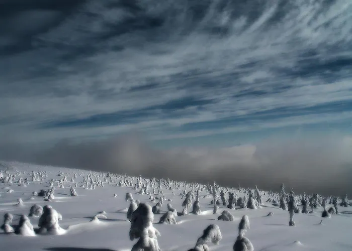 Tarnasowka W Szczyrku