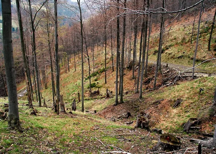 Vila Tarnasowka W Szczyrku