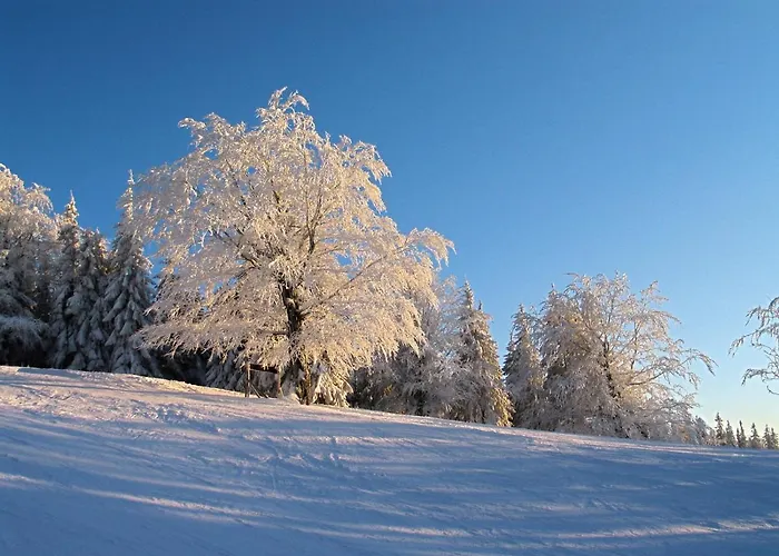 Vila Tarnasowka W Szczyrku