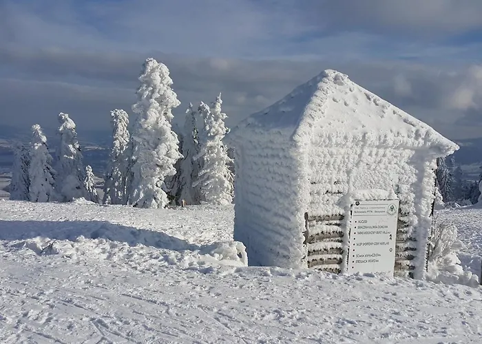 Vila Tarnasowka W Szczyrku *